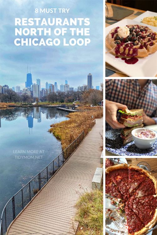 8 Must Try Restaurants North of The Chicago Loop - TidyMom®