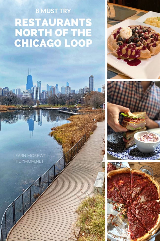 restaurants north of the chicago loop collage