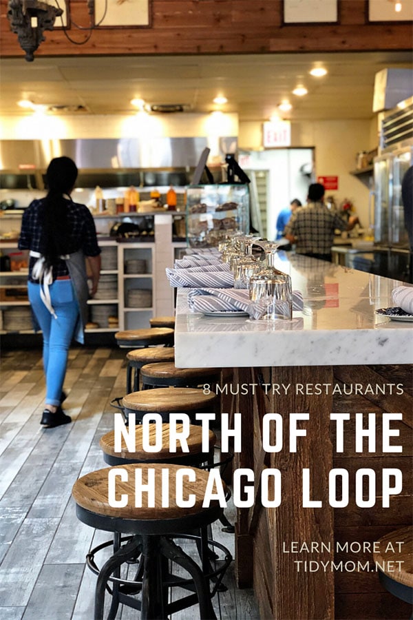 8 Must Try Restaurants North of The Chicago Loop - TidyMom®