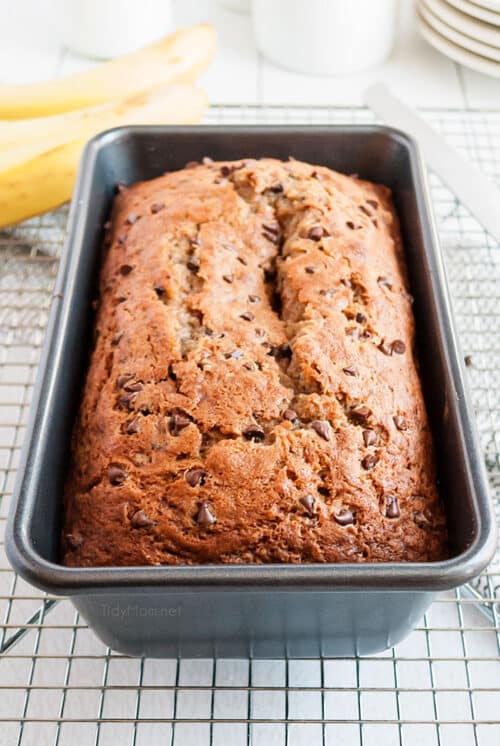 Chocolate Chip Banana Bread Recipe