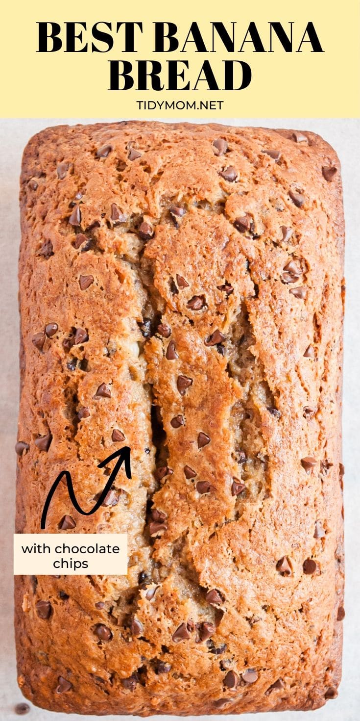 Chocolate Chip Banana Bread Recipe