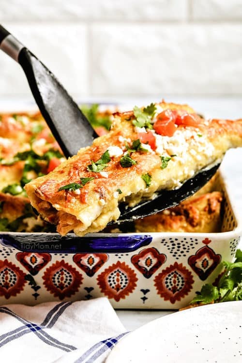 Honey Lime Chicken Enchilada Recipe
