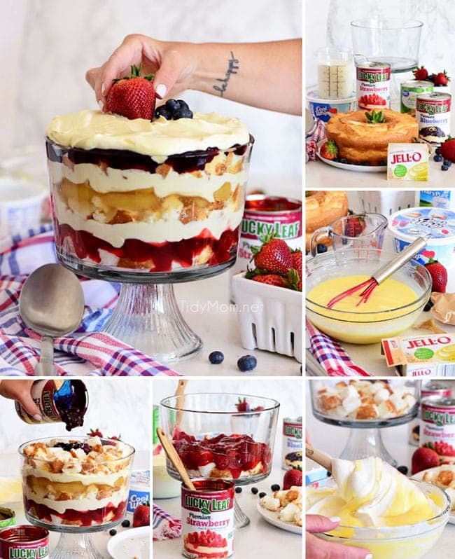 fruit trifle photo collage