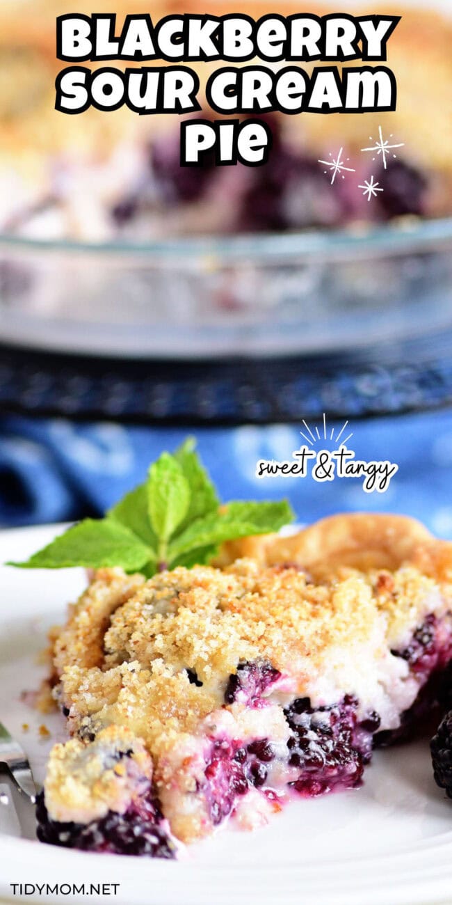 slice of creamy blackberry pie