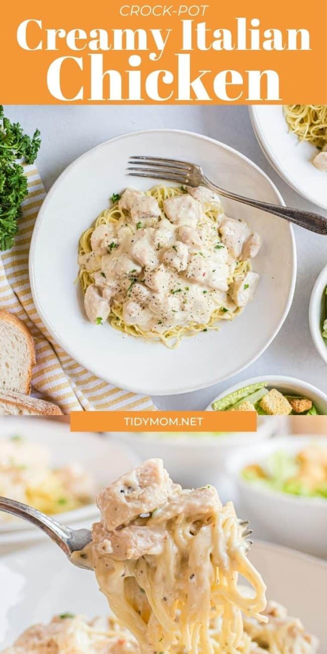 creamy chicken and pasta on a plate