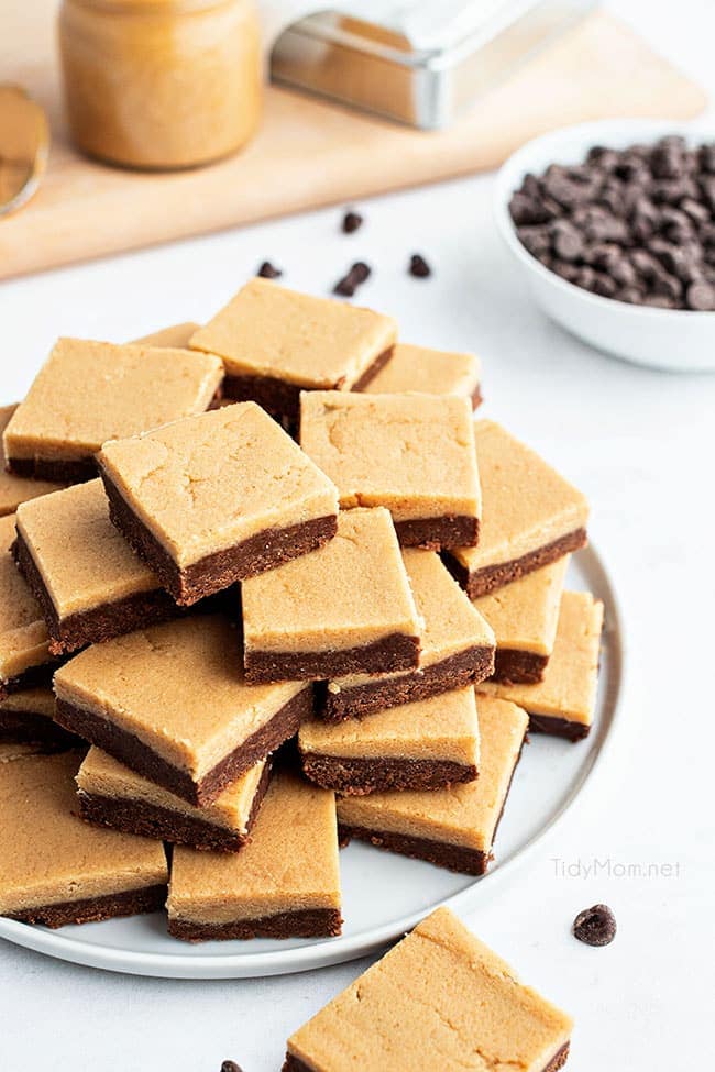plate full of fudge cut into square portions