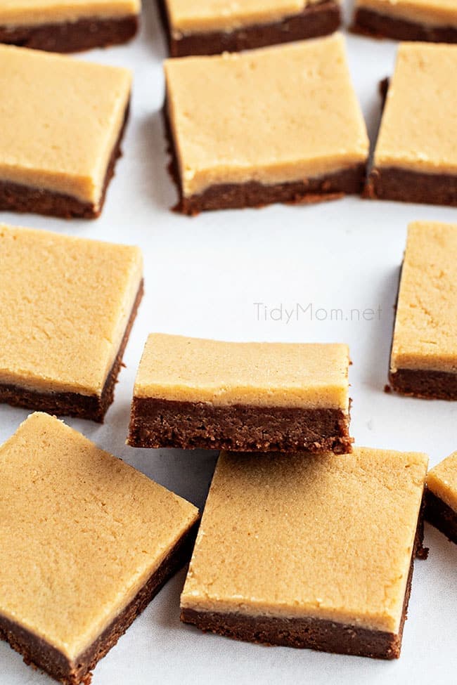 squares of fudge on a countertop
