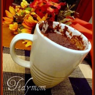 2 Ingredient Ice Cream Microwave Mug Cake - Love Swah