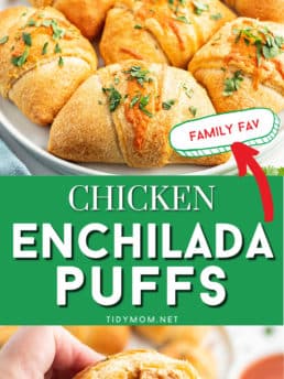 chicken enchilada puffs on a plate, and a hand holding one.