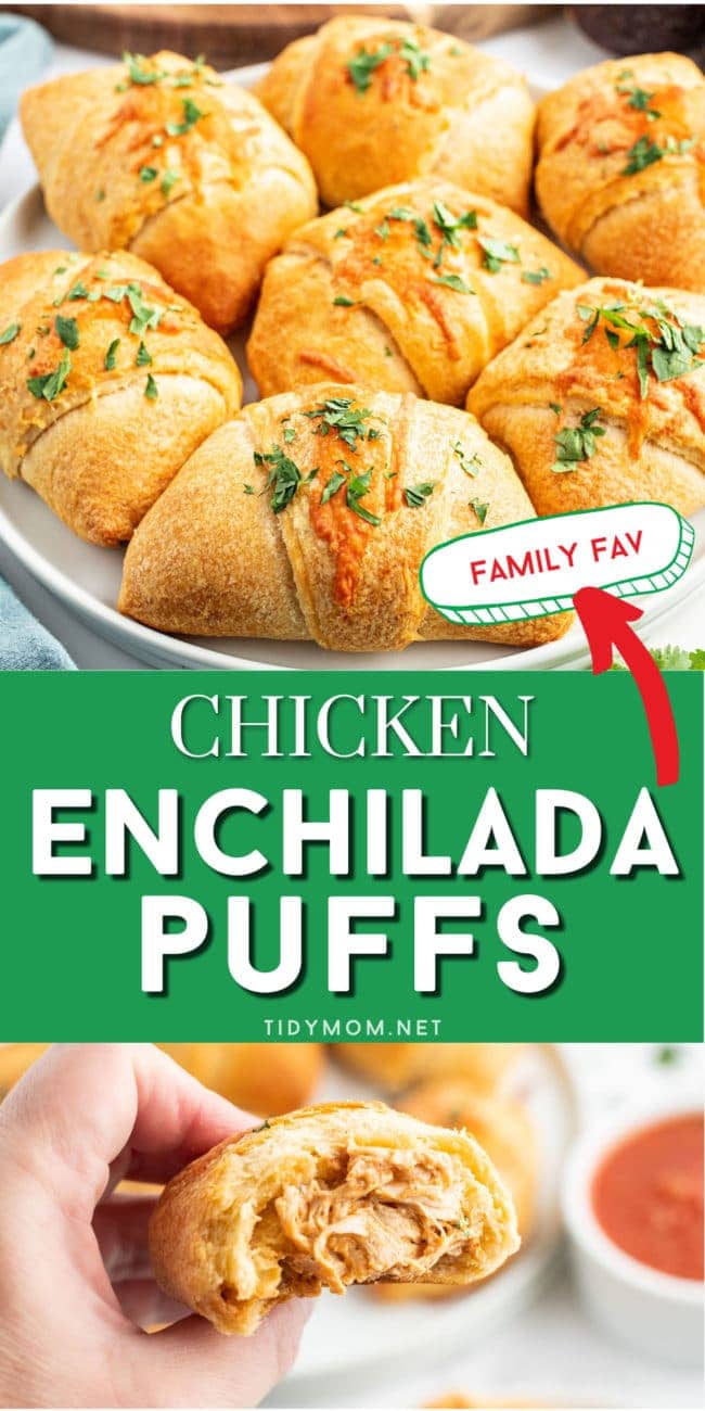 chicken enchilada puffs on a plate, and a hand holding one.