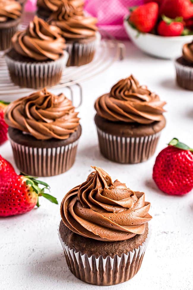 chocolate cupcakes with chocolate frosting