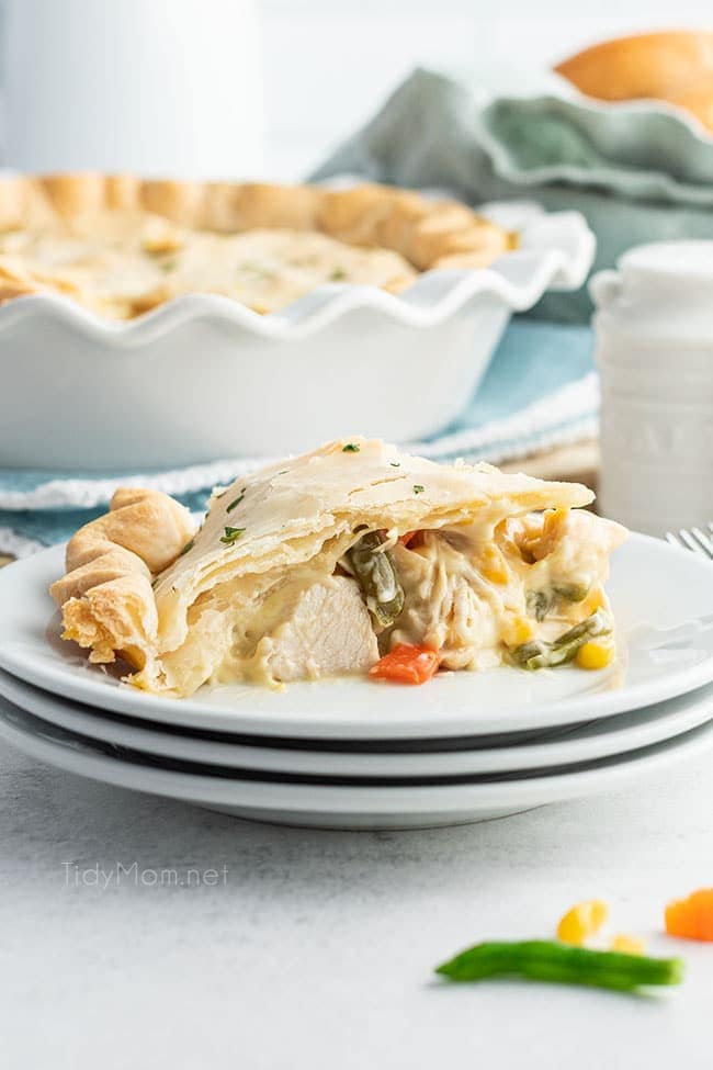 https://tidymom.net/blog/wp-content/uploads/2021/01/easy-chicken-pot-pie-image.jpg