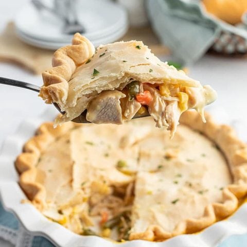 piece of pot pie on a pie server