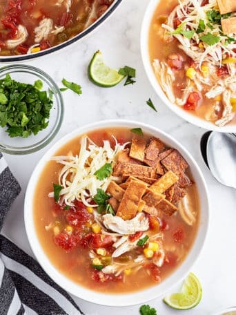 Soup and Chili Recipes Archives - TidyMom®