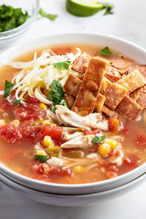 Chicken Tortilla Soup Recipe - TidyMom®