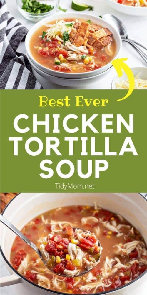 Chicken Tortilla Soup Recipe TidyMom®