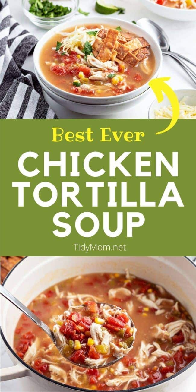 home made tortilla soup in a bowl and in a white pot