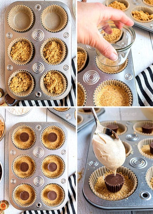 Peanut Butter Cheesecake Minis - TidyMom®