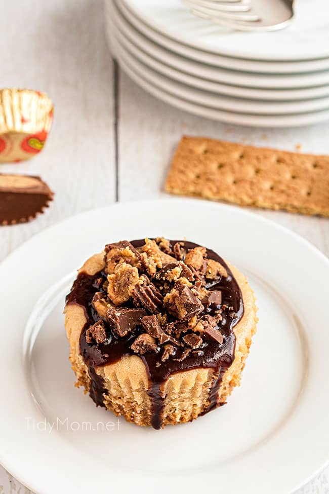 mini cheese cake with peanut butter cups on top