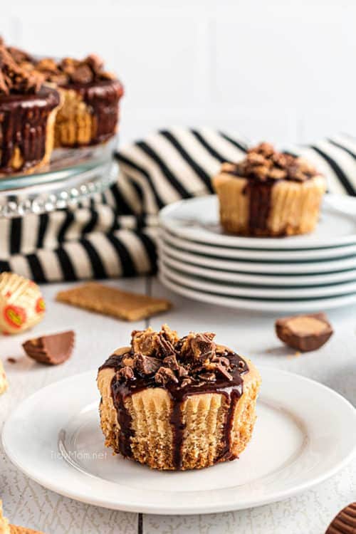 Peanut Butter Cheesecake Minis TidyMom®
