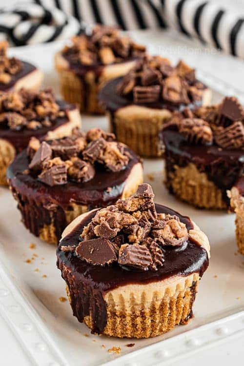 Peanut Butter Cheesecake Minis - TidyMom®
