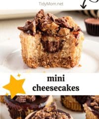 close up of peanut butter mini cheesecake