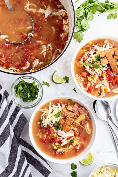 Chicken Tortilla Soup Recipe - TidyMom®