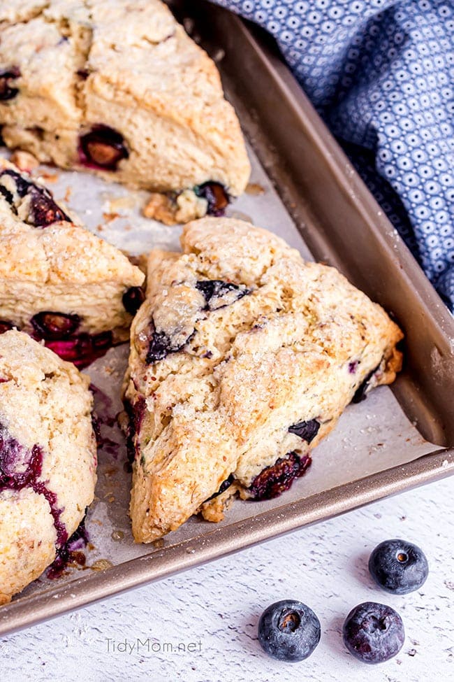 a pan of baked blueberry scones