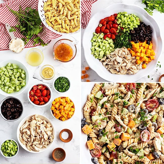 Creamy Chicken Pasta Salad - TidyMom®