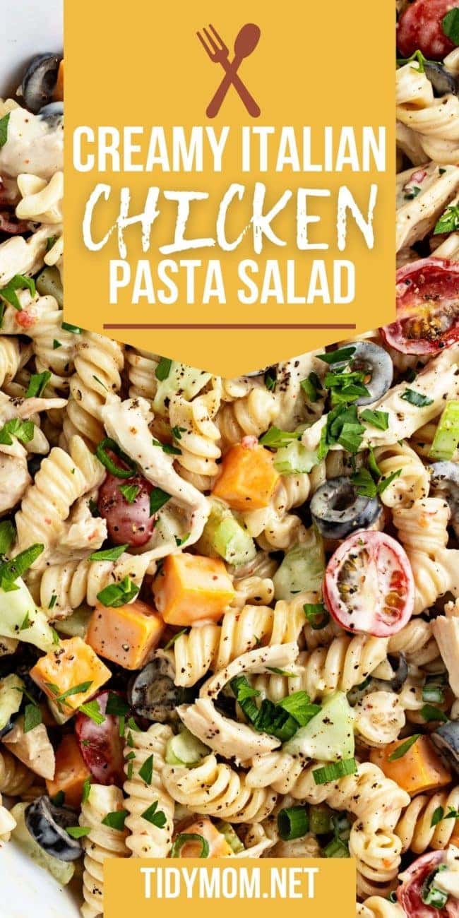 close up of pasta salad with chicken and veggies