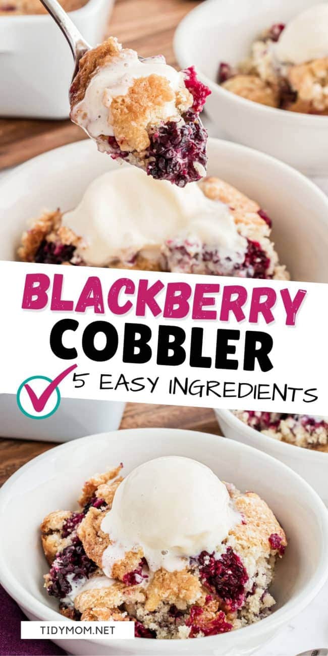 easy blackberry cobbler in a bowl with ice cream
