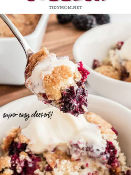 cobbler with fresh blackberries in a bowl with a spoon