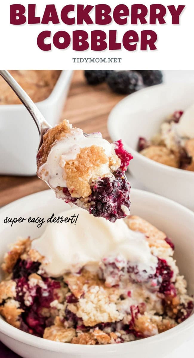 cobbler with fresh blackberries in a bowl with a spoon