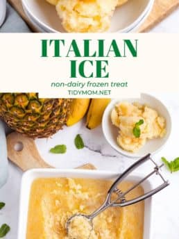 Banana Pineapple ITALIAN ICE in a bowl and in a square pan
