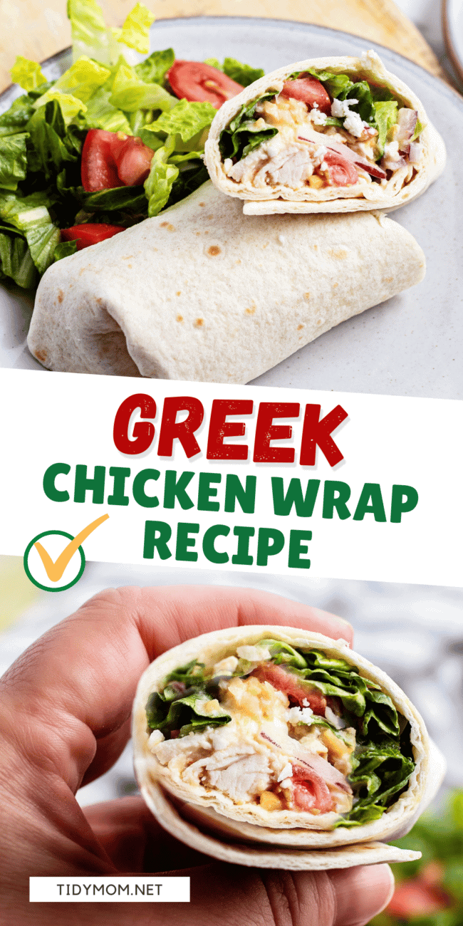 hand holding greek chicken wrap