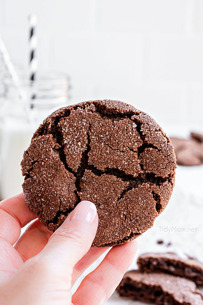 woman's hand holding a chocolate fudge cookies