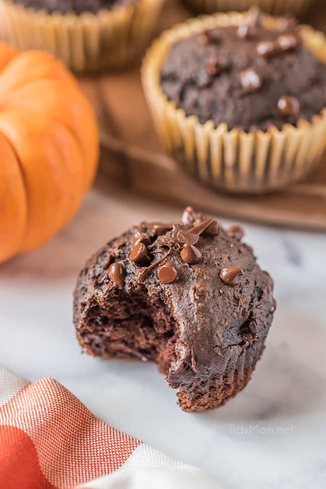chocolate pumpkin muffin with bit out sitting on a counter
