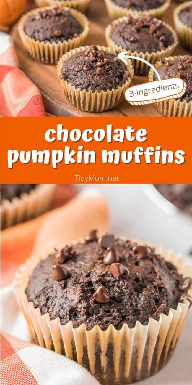chocolate pumpkin muffins on a table