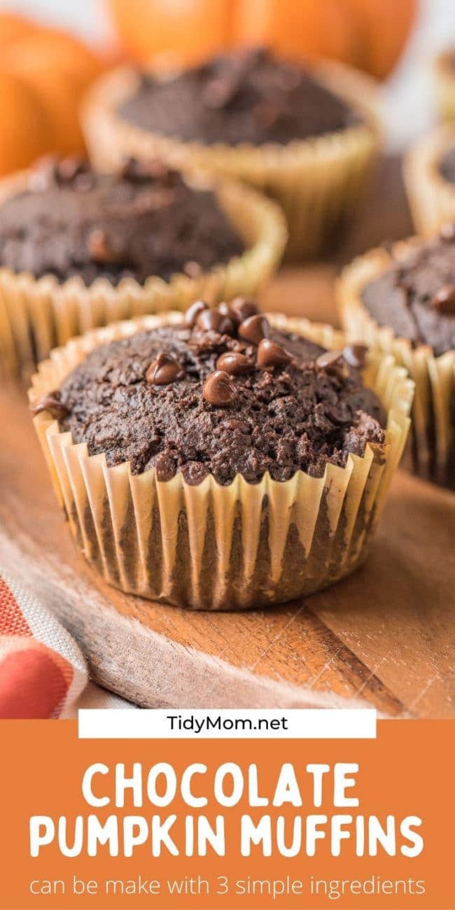 close up of chocolate pumpkin muffins
