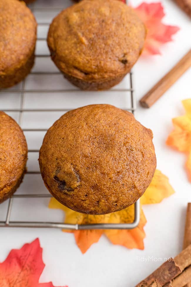 pumpkin muffins on a cooling rack with leaves on the counter