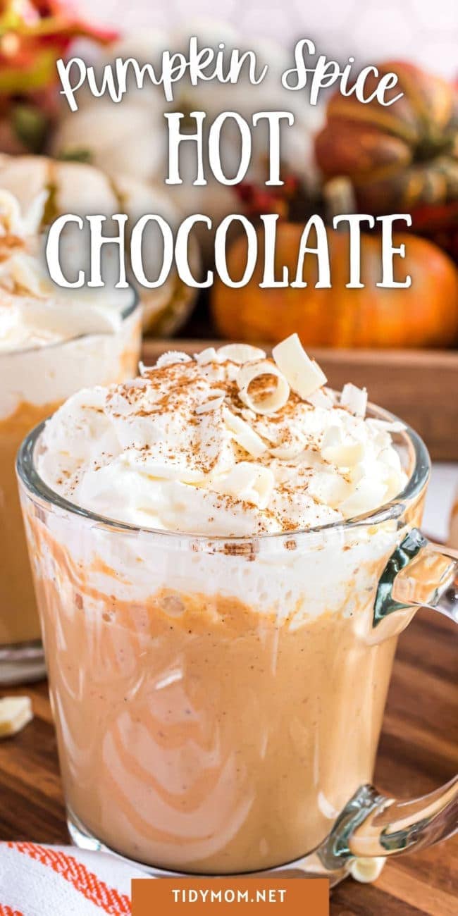 pumpkin spice hot chocolate in a glass mug with whipped cream