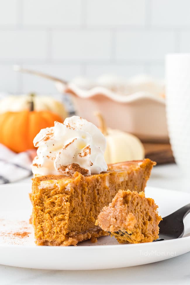 pumpkin cream cheese pie slice with whipped cream on top