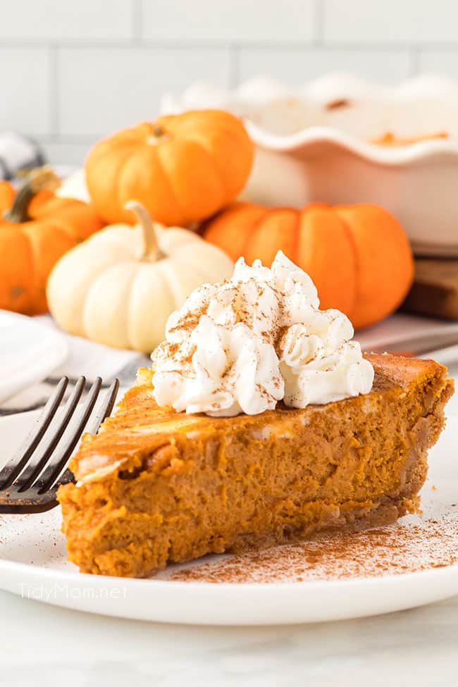 pumpkin cream cheese pie slice with whipped cream on top