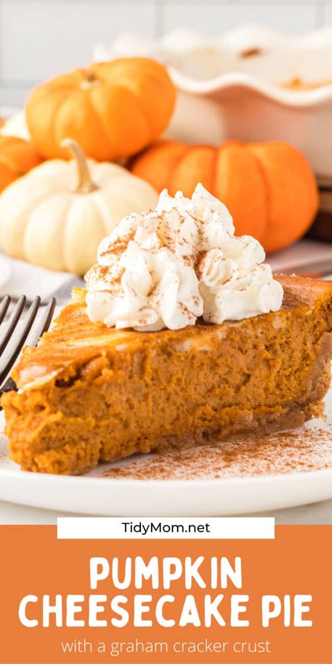 pumpkin cheesecake pie slice with whipped cream 