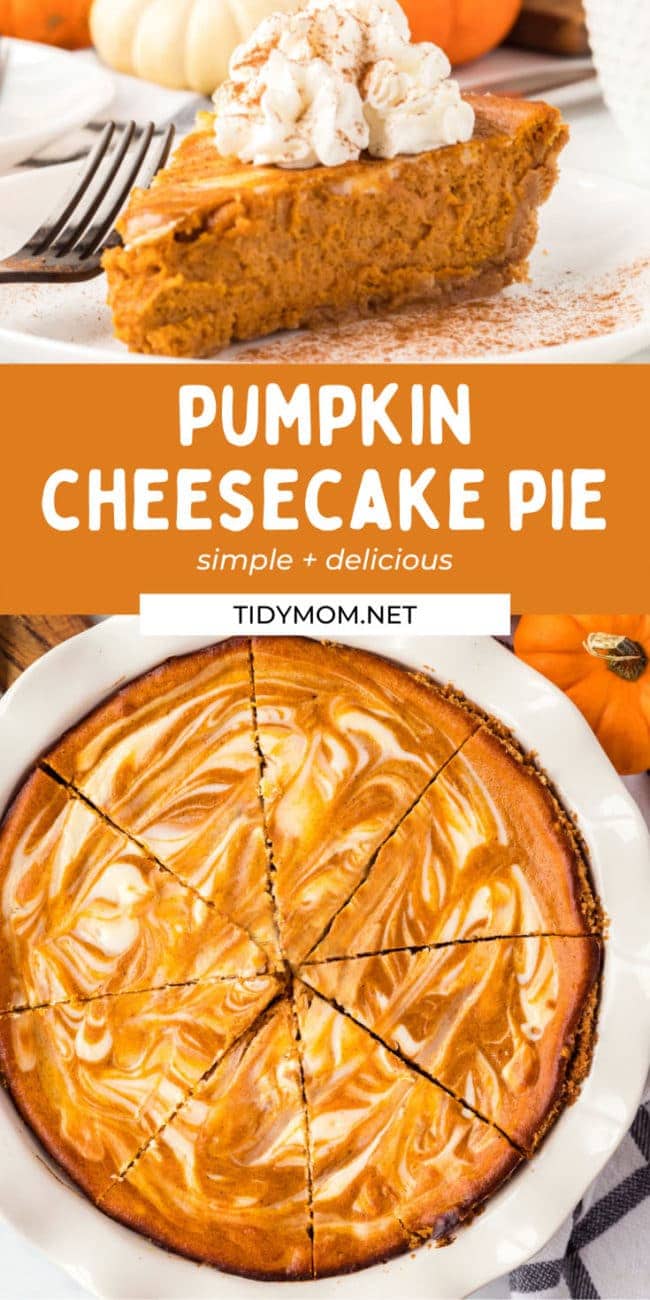 sliced pumpkin cream cheese pie in a white plate