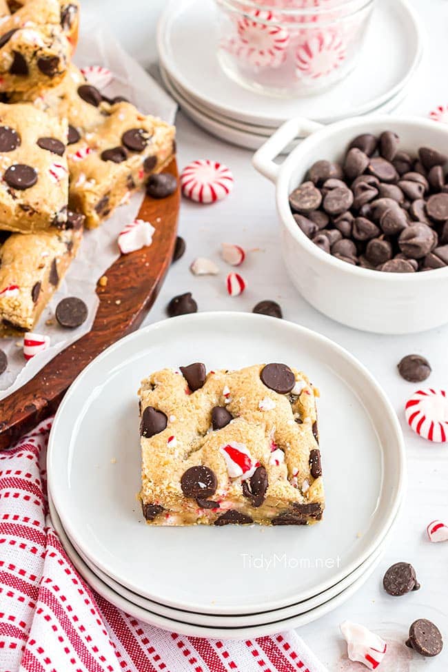 chocolate peppermint cookie bar on a plate with a bowl of chocolate chips next to it