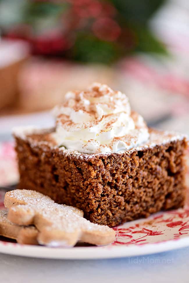 a serving of gingerbread cake on a red Chirstmas plate