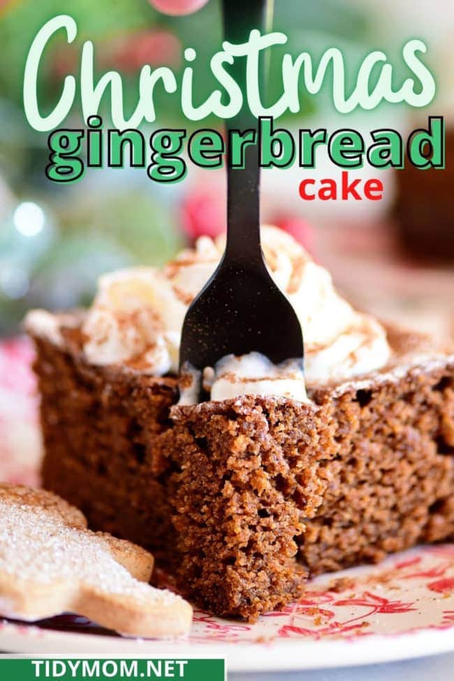 a slice of homemade gingerbread cake with a fork in it.