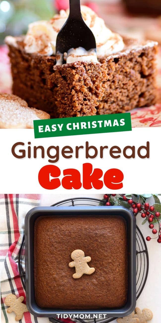 homemade gingerbread snack cake in the pan and a piece served on a plate