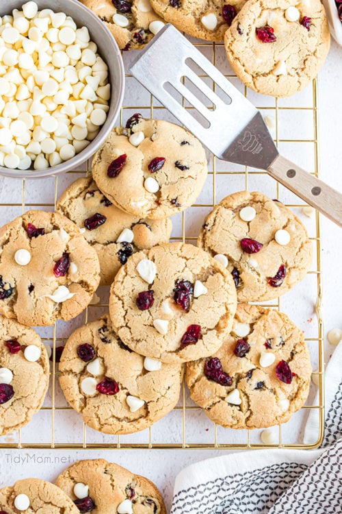 Holiday Cookies a Christmas Family Tradition